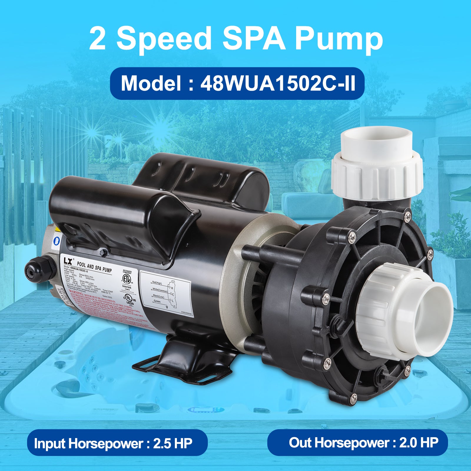 LX Pump 1.5HP 2-Speed Spa & Hot Tub Pump 230V 48 Frame | Model