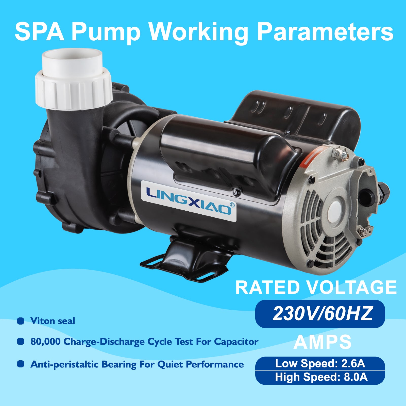LX Pump 1.5HP 2-Speed Spa & Hot Tub Pump 230V 48 Frame | Model