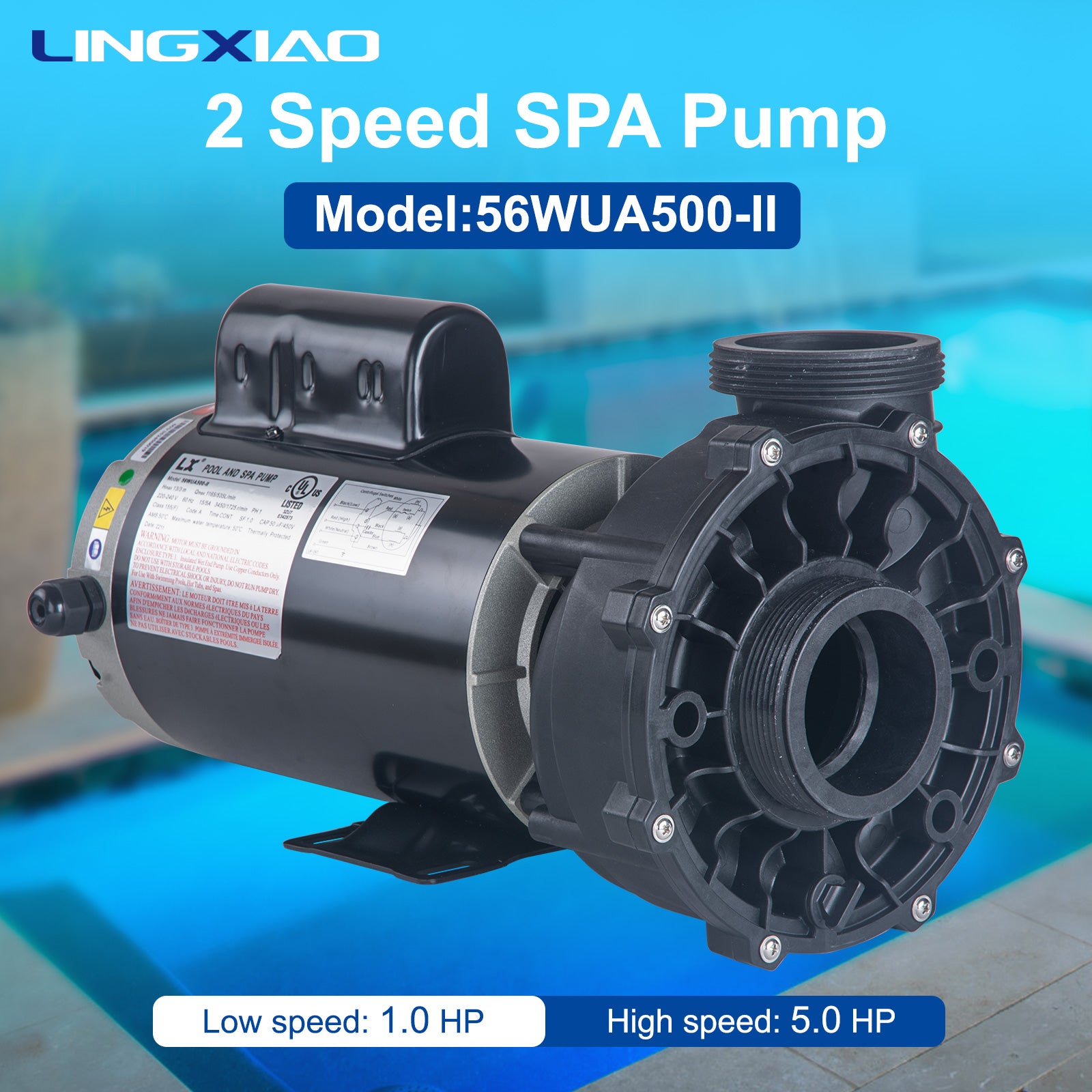 LX Pump 5HP 2-Speed Spa & Hot Tub Pump 220-240V 56 Frame | Model