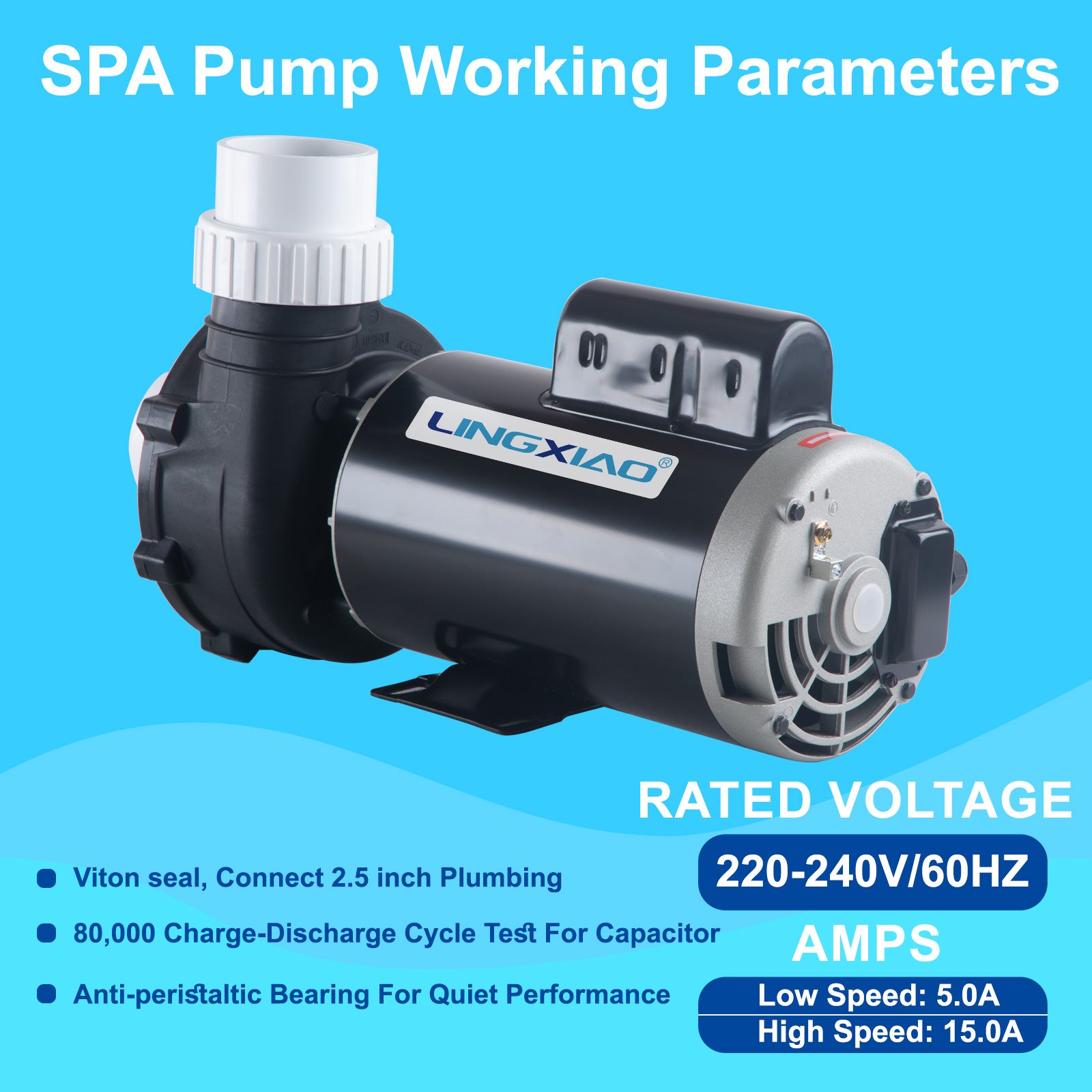LX Pump 5HP 2-Speed Spa & Hot Tub Pump 220-240V 56 Frame | Model