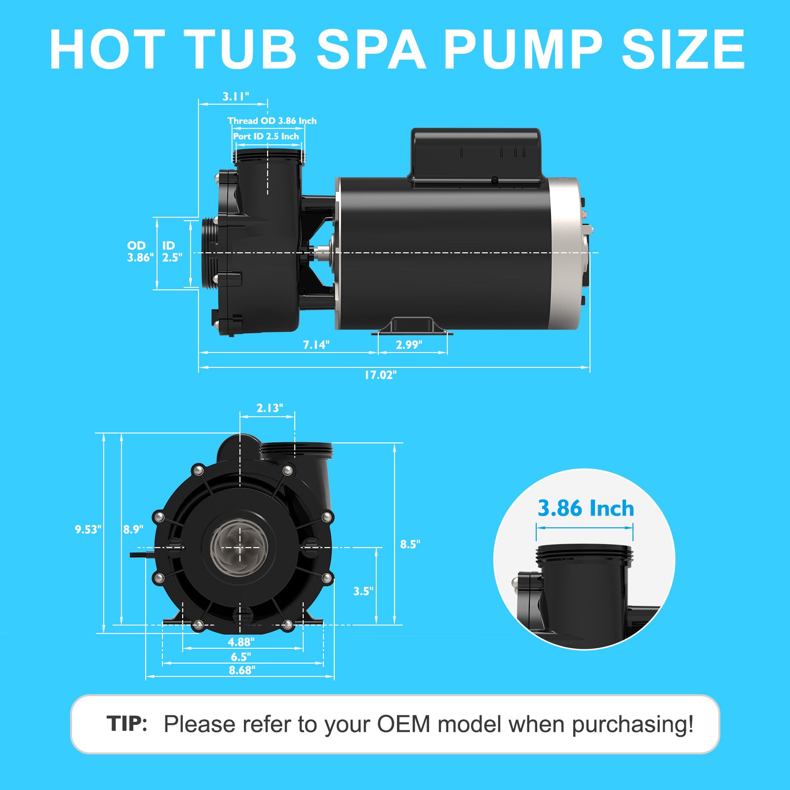 LX Pump 5HP 2-Speed Spa & Hot Tub Pump 220-240V 56 Frame | Model
