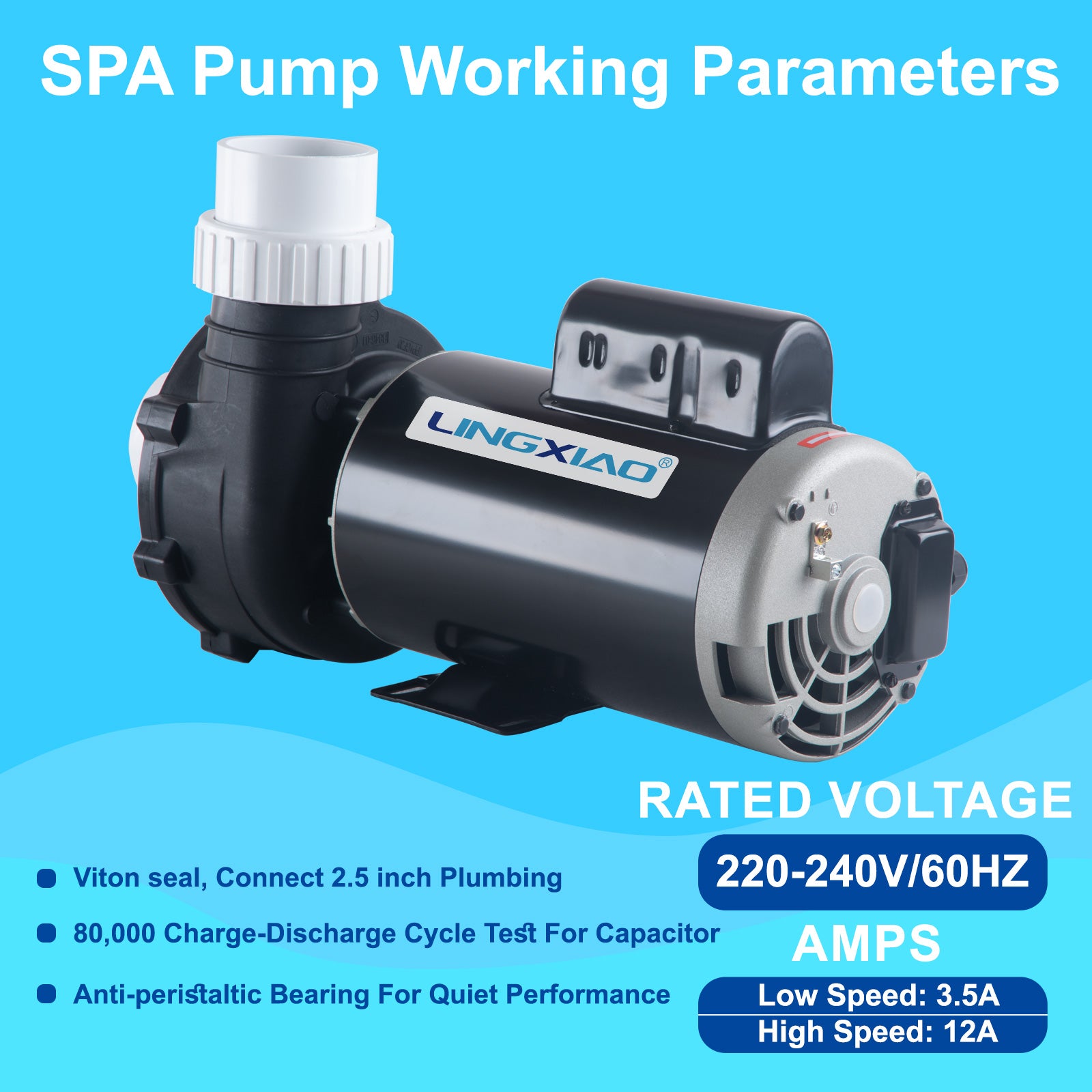 LX Pump 4HP 2-Speed Spa & Hot Tub Pump 220-240V 56 Frame | Model